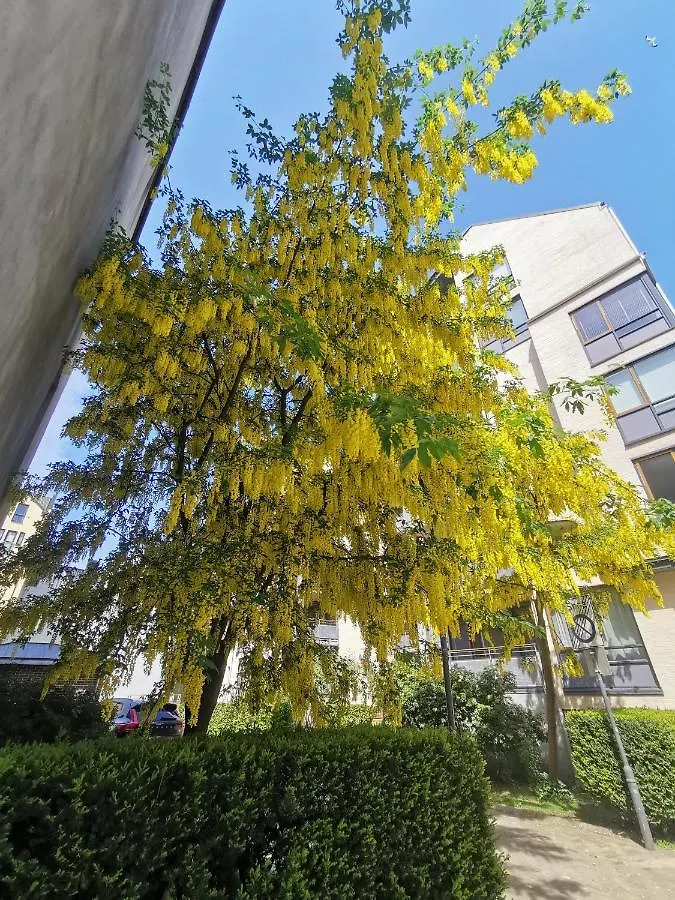 80 Square Metre Flat In The Heart Of Bergen - 2 Big Bedrooms 0*,  Norway